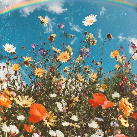 Meet your Posher, Brooke - Picture 1 of 1